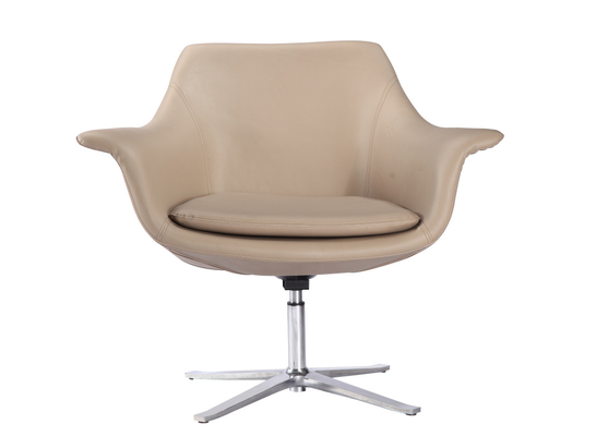 Fancy Modern Leisure Chair Fiberglass + PU + Stainless Steel Material